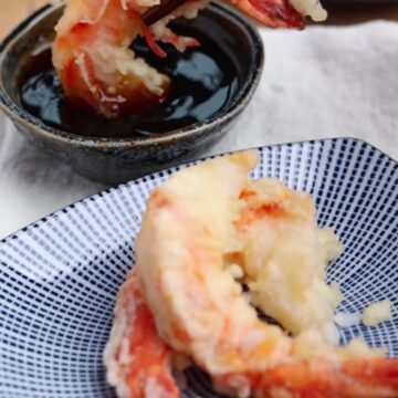 Tempura Dipping Sauce